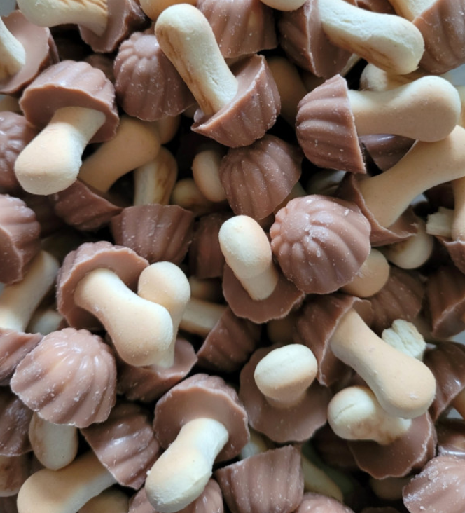 Champignon chocolat caramel (lot de 10)