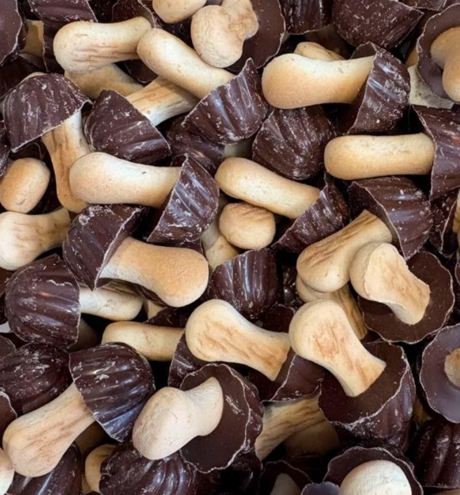 Champignon chocolat (lot de 10)