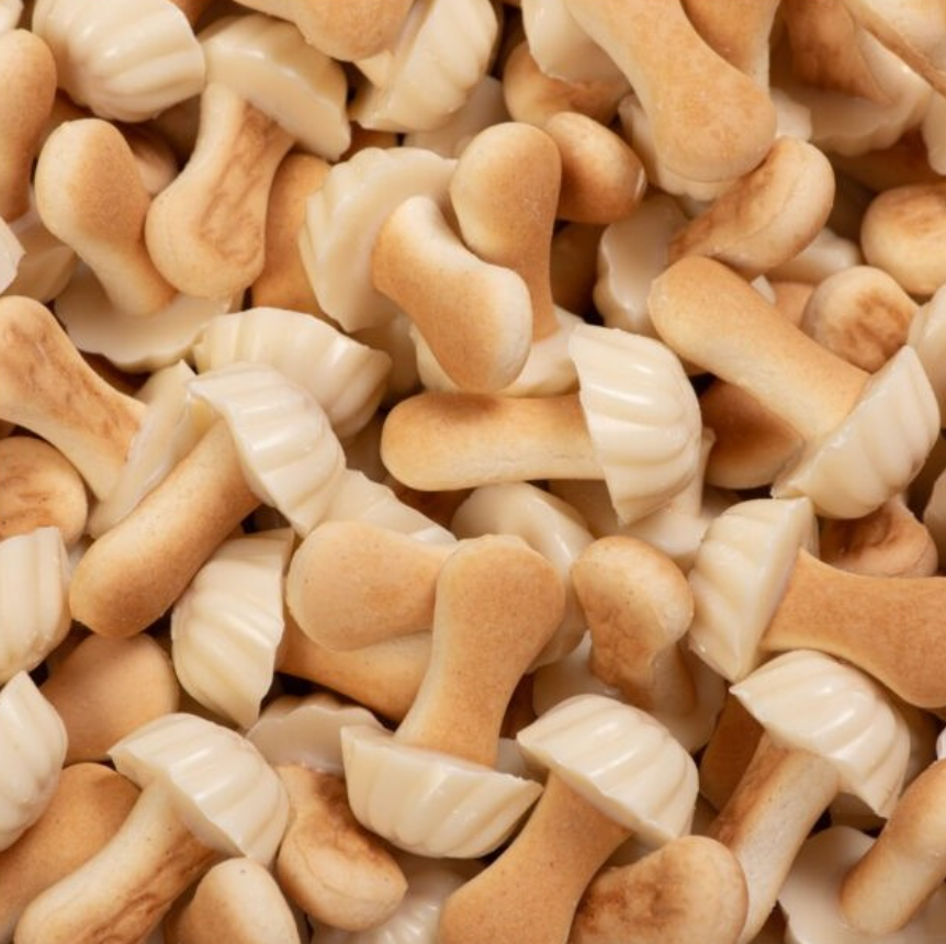 Champignon chocolat blanc (lot de 10)