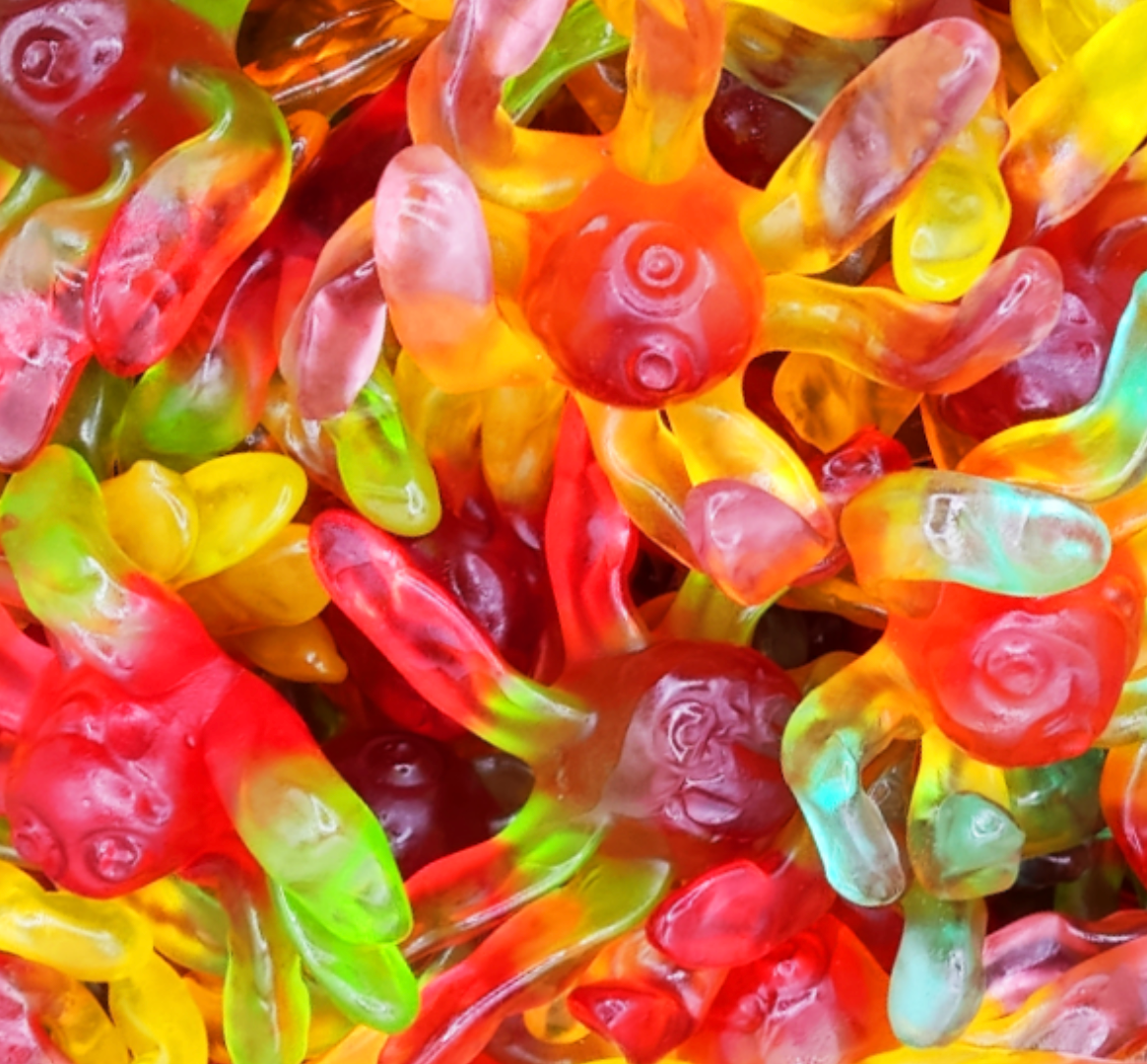 Octopus lisse (lot de 5)