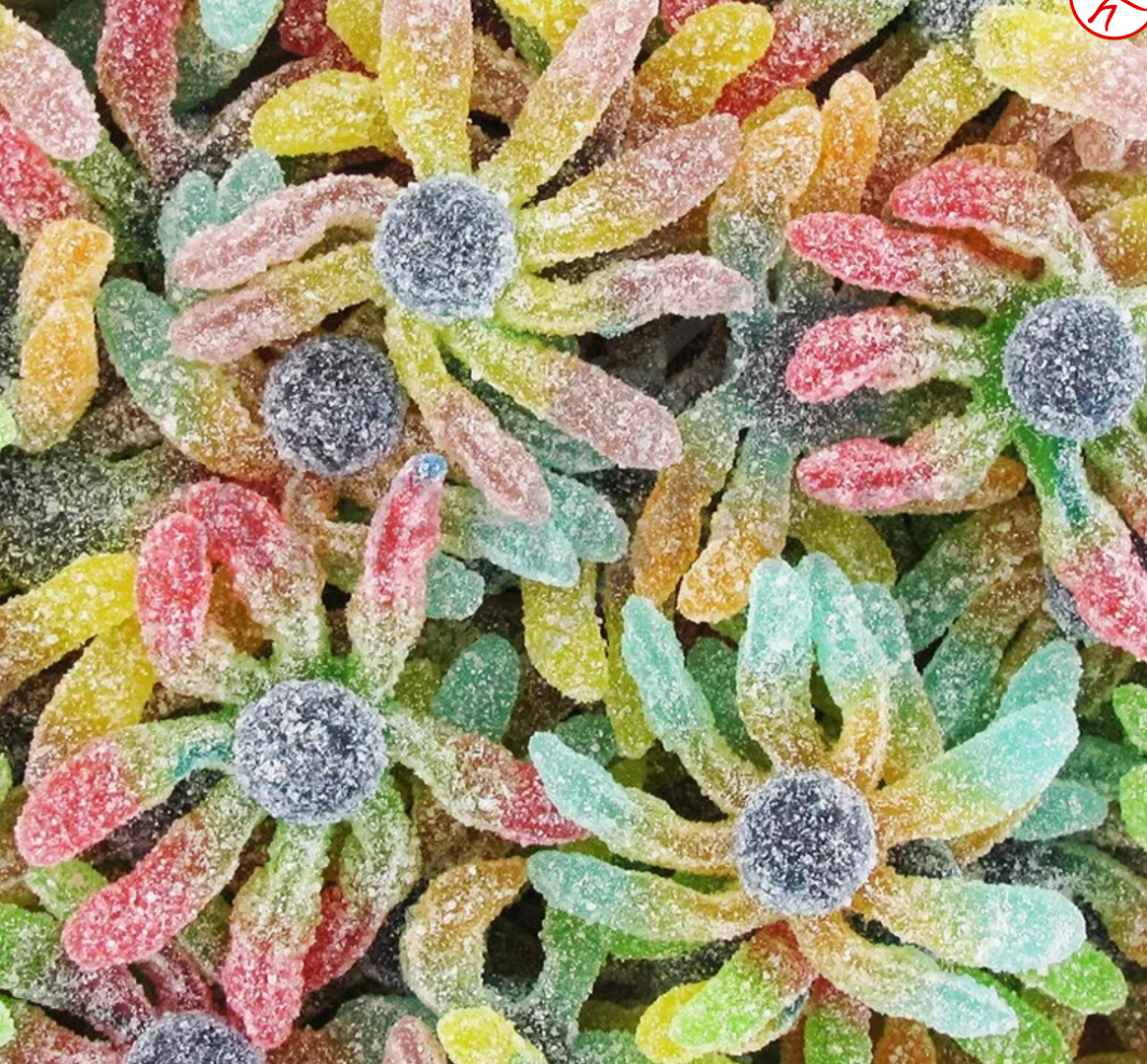 Octopus acidulé (lot de 5)