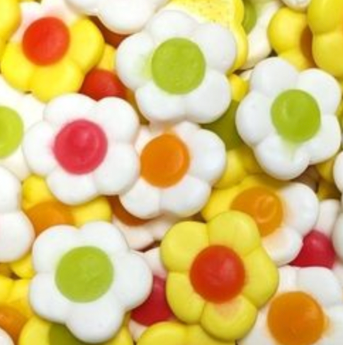 Fleurs Daisies (100g)