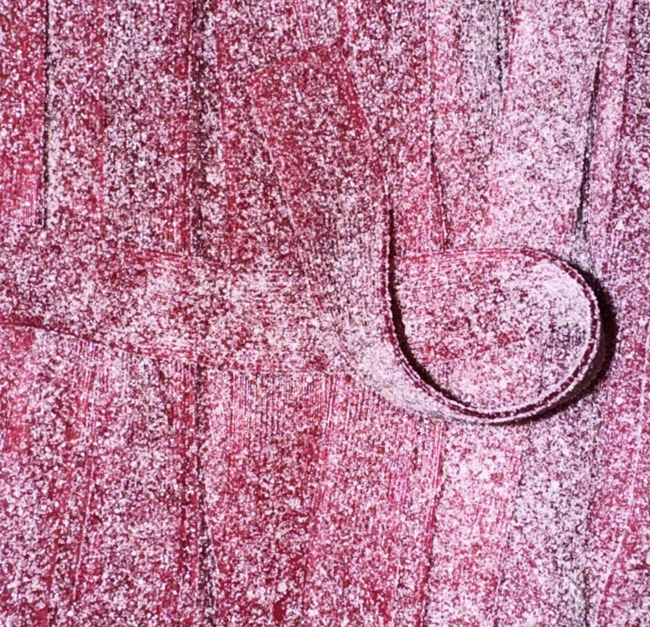 Bandeau raisin (lot de 10)